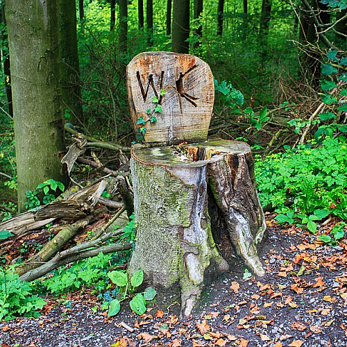 toilettengang im wald